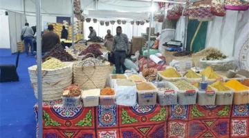 بنسبة 30%.. زيادة كبيرة في عدد معارض أهلاً رمضان بمختلف المحافظات المصريّة